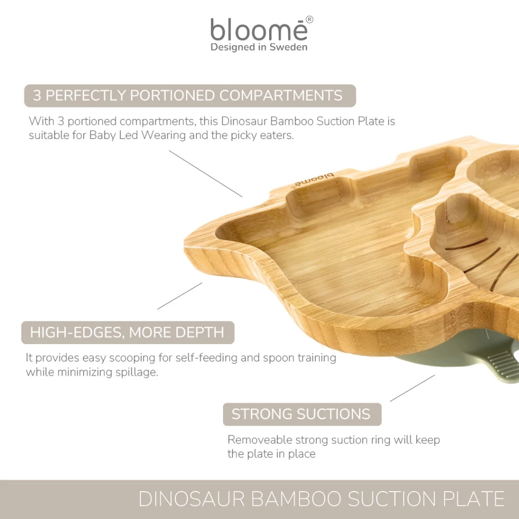 Dinosaur Bamboo Suction Plate