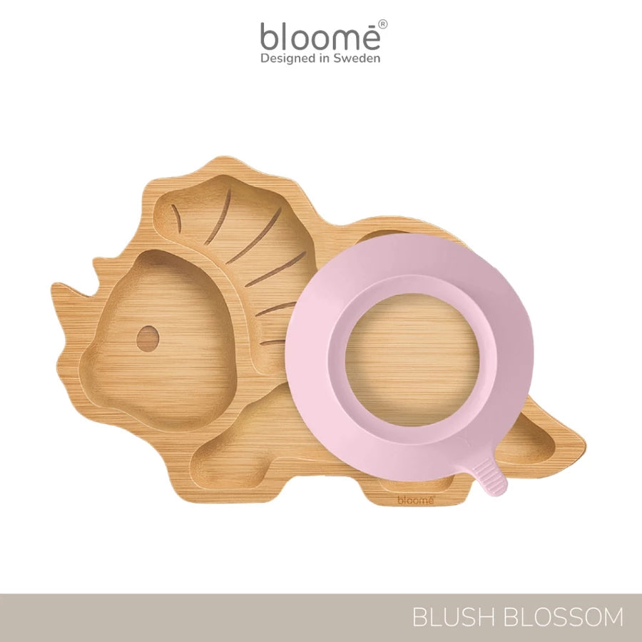 Dinosaur Bamboo Suction Plate