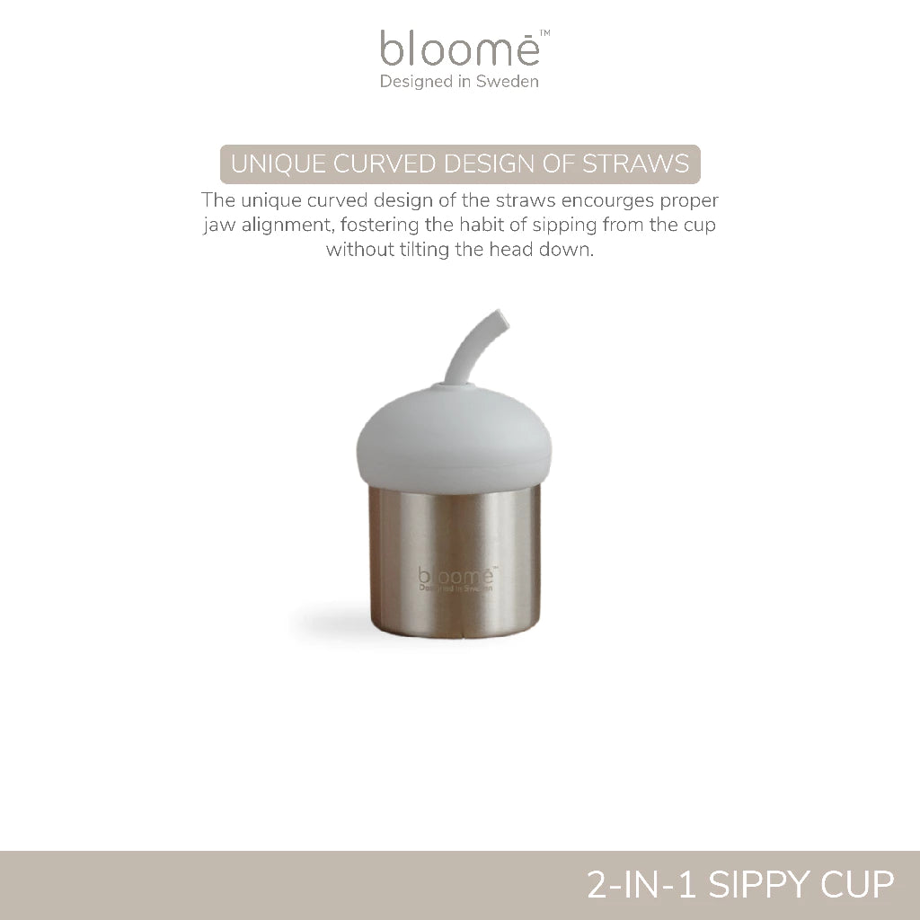 Stainless Steel Sippy Cup