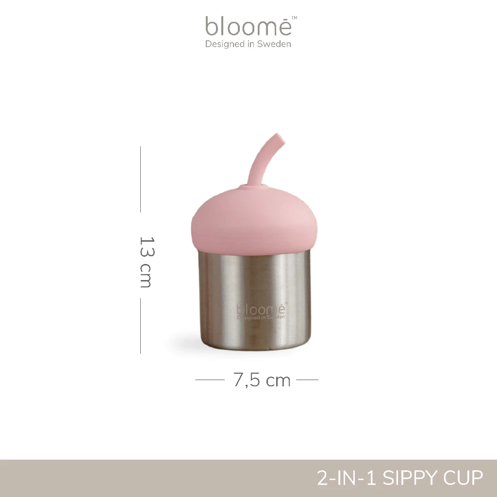 Stainless Steel Sippy Cup