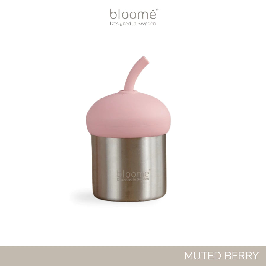 Stainless Steel Sippy Cup