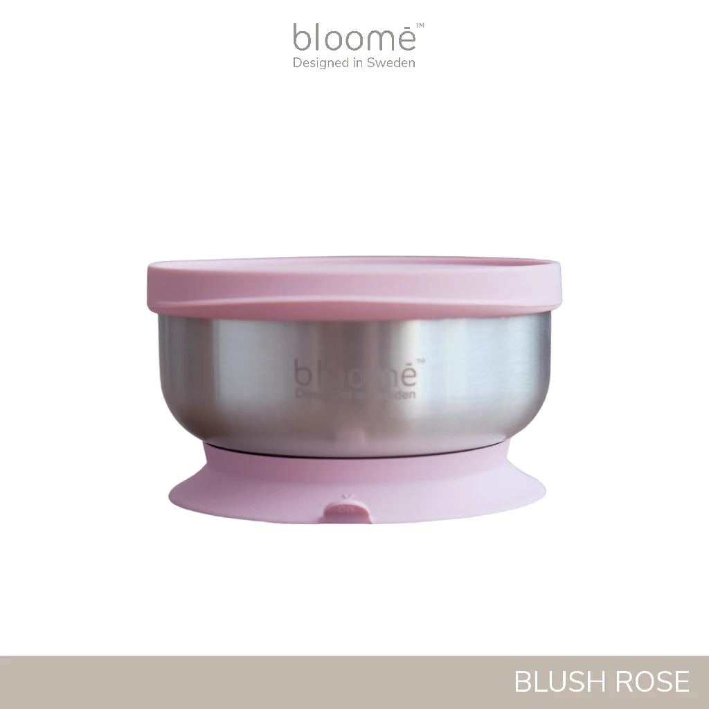 Stainless Suction Bowl