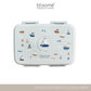 Stainless Bento Lunch Box