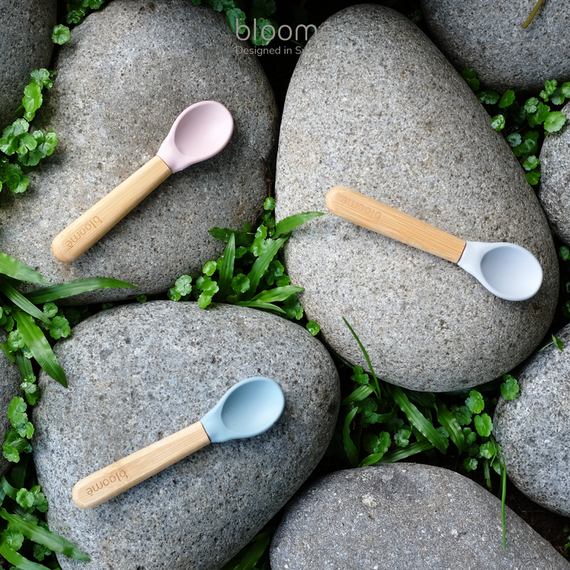 Bamboo Spoon